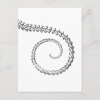 Vintage lizard skeleton
