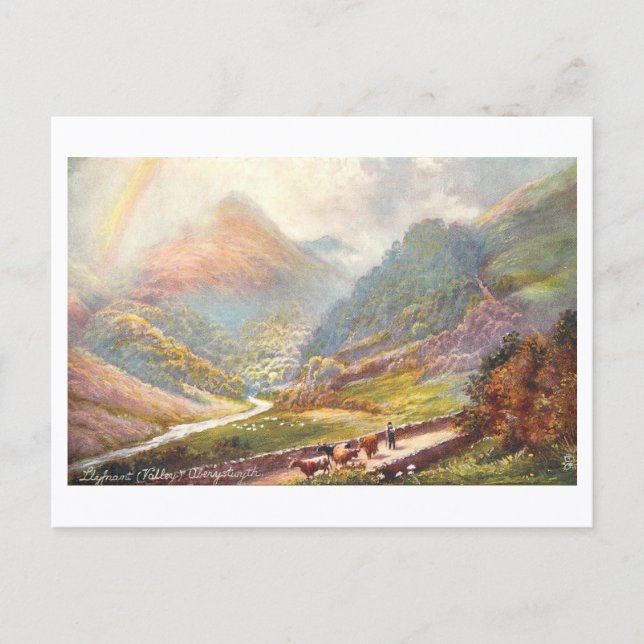 Vintage Llyfnant Valley, Aberystwyth Postcard (Front)