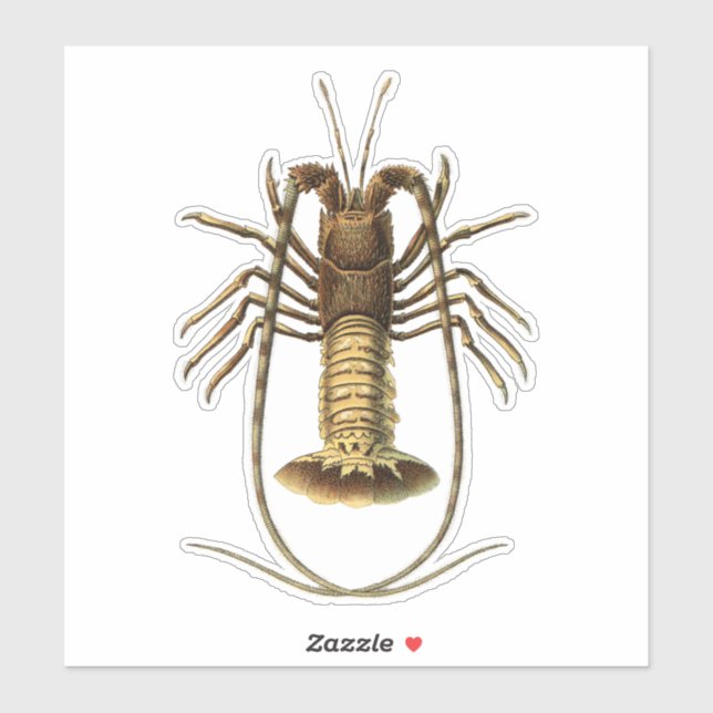 Vintage Lobster (Sheet)