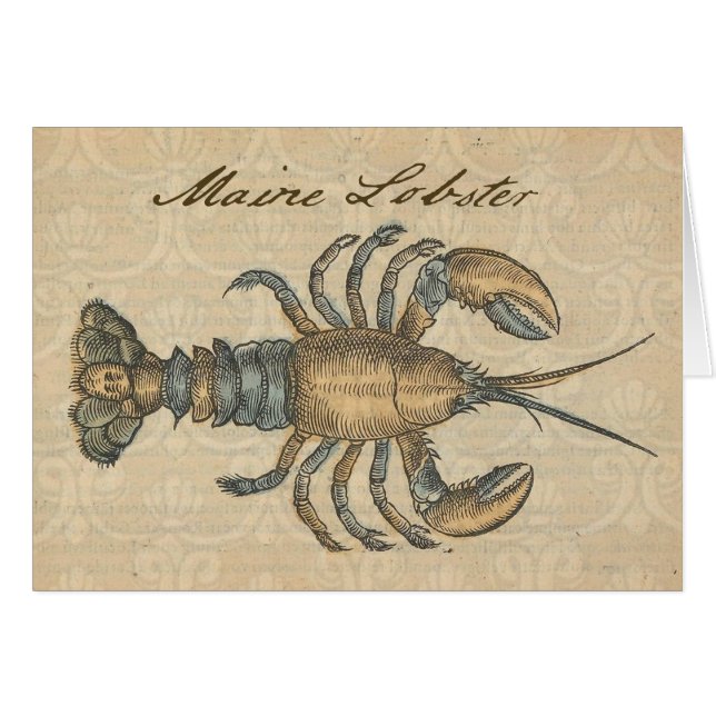 Vintage Lobster Illustration: Coastal Damask  (Front Horizontal)