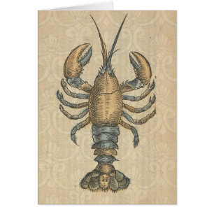Vintage Lobster Illustration: Coastal Damask