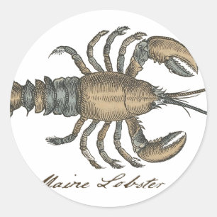 Vintage Lobster Illustration: Coastal Damask Classic Round Sticker
