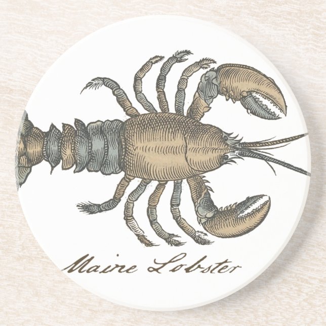 Vintage Lobster illustration Coaster (Front)