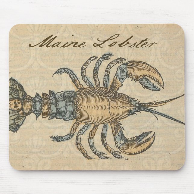 Vintage Lobster illustration Mouse Pad (Front)