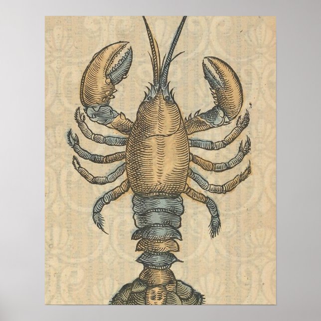 Vintage Lobster illustration Poster (Front)
