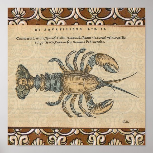 Vintage Lobster illustration Poster (Front)