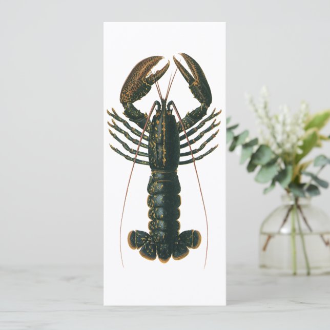 Vintage Lobster, Marine Ocean Life Crustacean Invitation (Standing Front)