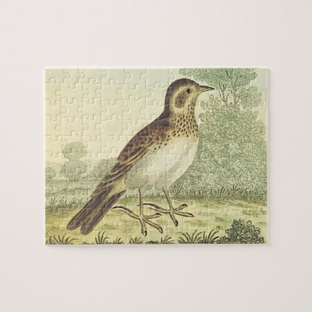 Vintage Look, Bird Standing on the Ground Puzzle (Horizontal)