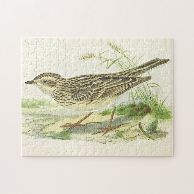 Vintage Look Bird Standing on the Ground Puzzle (Horizontal)