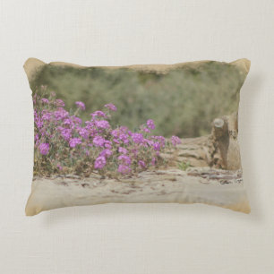 Vintage Look Desert Scene Digital Art Decorative Cushion