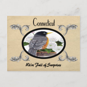 Vintage Look Old Postcard Connecticut