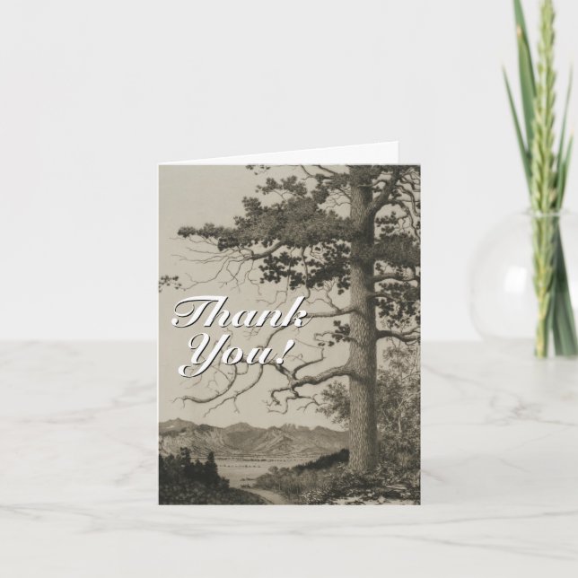 Vintage Look Scenery + "Thank You!" Thank You Card (Front)