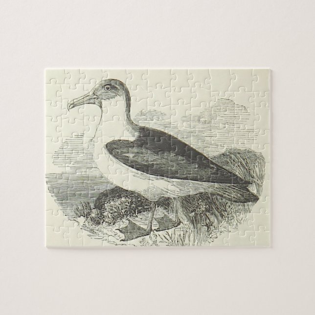 Vintage Look Standing Bird Jigsaw Puzzle (Horizontal)