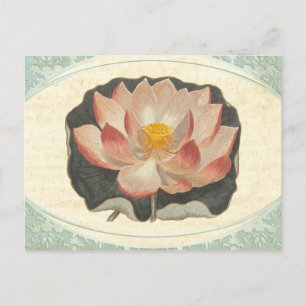 Vintage Lotus Damask Elegant Antique Botanical Postcard