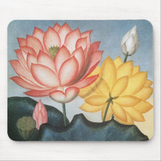Vintage Lotus Flowers, The Sacred Egyptian Bean Mouse Pad
