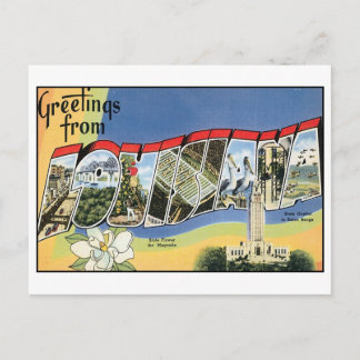 Vintage Louisiana Postcard