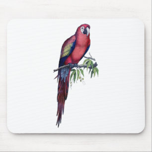 Vintage Macaw Bird Mouse Pad