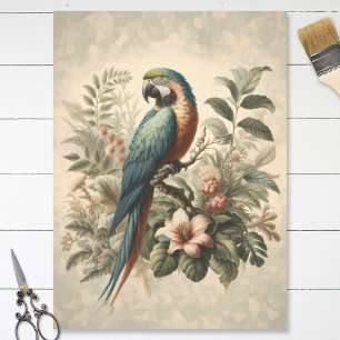 Vintage Macaw Botanical Painting Decoupage Tissue Paper