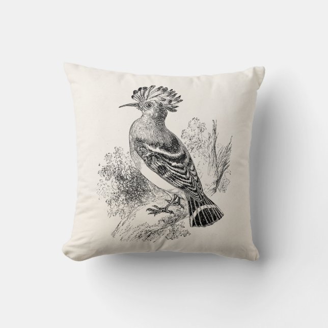Vintage Madagascar Hoopoe Bird Personalised Birds Cushion (Front)
