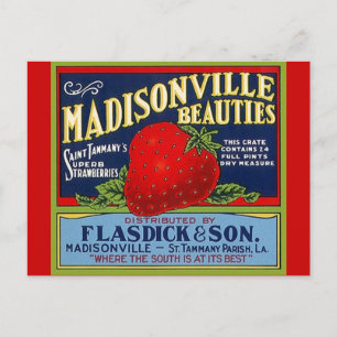 Vintage Madisonville LA Strawberry Crate Postcards