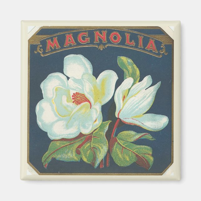 Vintage Magnolia Flower Magnet (Front)