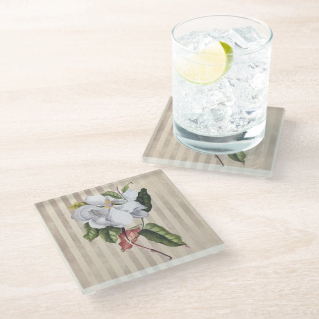 Vintage Magnolia Flower on Stripes Glass Coaster (Angled)