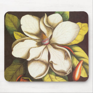 Vintage Magnolia Flowers Plant With Seeds Mouse Pad