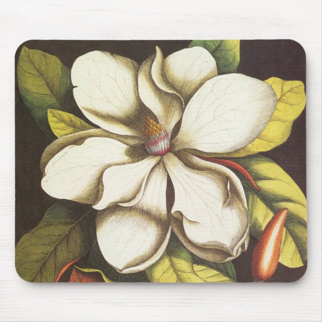 Vintage Magnolia Flowers Plant With Seeds Mouse Pad (Front)