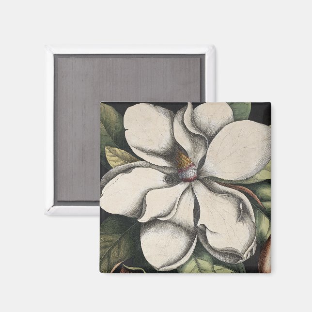 Vintage Magnolia  Magnet (Front/Back)