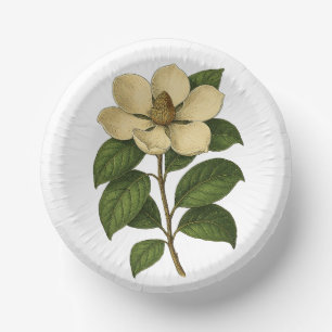 Vintage Magnolia Paper Plate