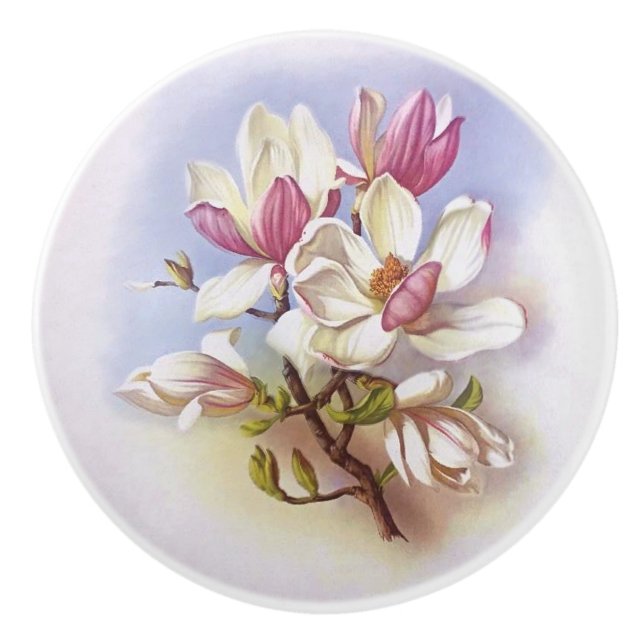 Vintage Magnolia Retro 50's Print Drawer Pull Knob (Front)