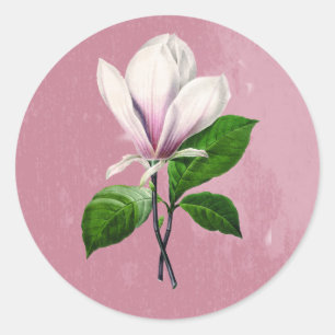Vintage Magnolia Song Apparel and Gifts Classic Round Sticker