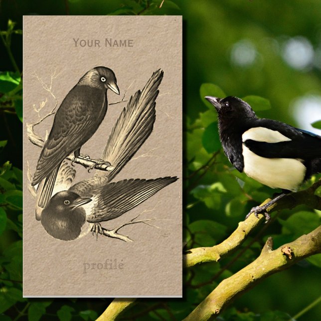 Vintage magpie and jack daw  - sepia business card (Creator Uploaded)