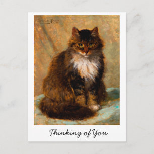 Vintage Maine Coon Cat Art Thinking of You Postcard