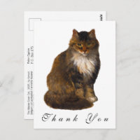 Vintage Maine Coon Cat Painted Portrait Thank You