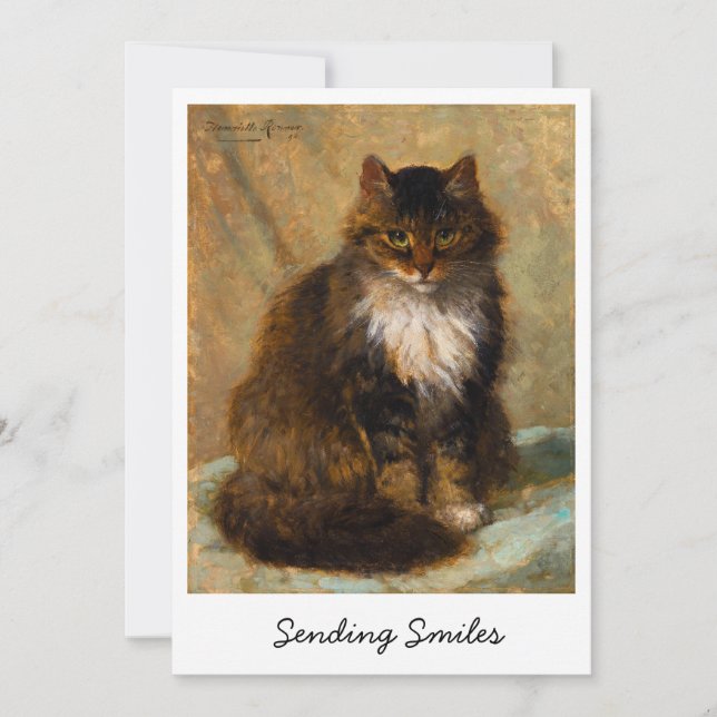 Vintage Maine Coon Cat Sending Smiles           (Front)
