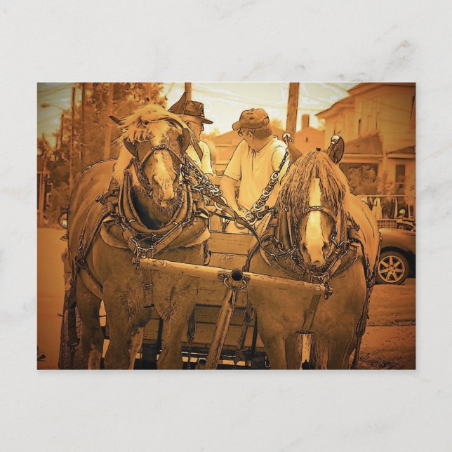 Vintage Maine Postcard (Front)