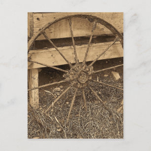 Vintage Maine Postcard