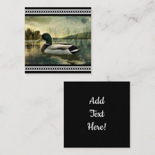 Vintage Mallard Duck Weathered Postcard
