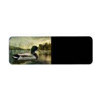 Vintage Mallard Duck Weathered Postcard