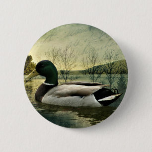Vintage Mallard Duck Weathered Postcard 6 Cm Round Badge