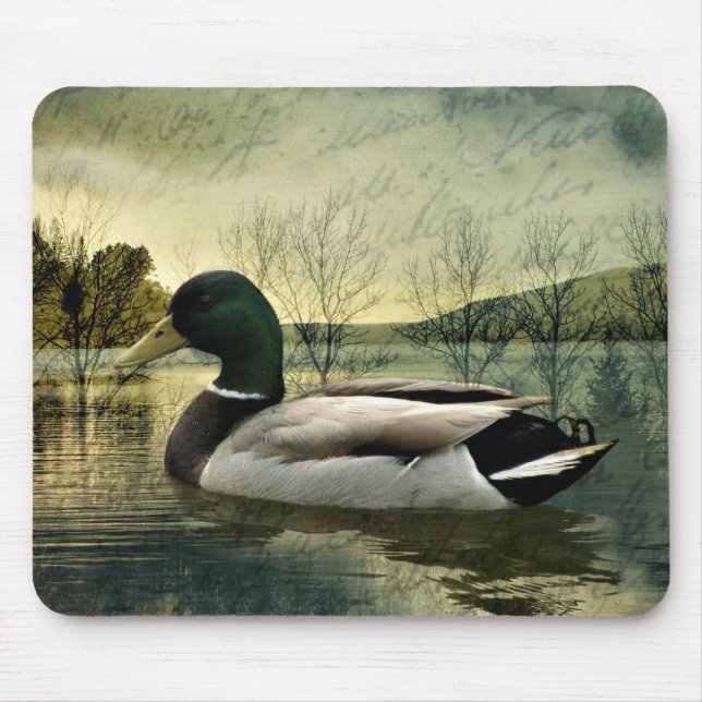 Vintage Mallard Duck Weathered Postcard Mouse Pad (Front)