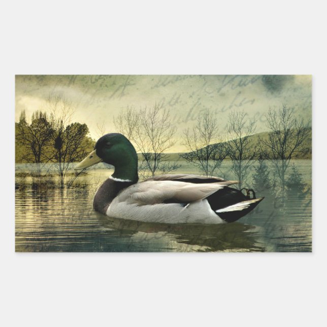 Vintage Mallard Duck Weathered Postcard Rectangular Sticker (Front)