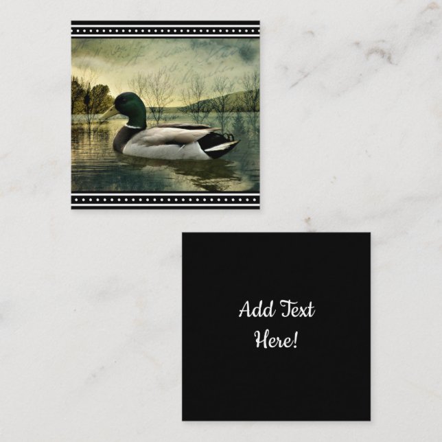 Vintage Mallard Duck Weathered Postcard Square Business Card (Front/Back)