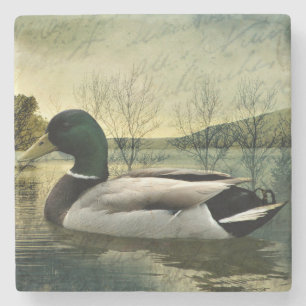Vintage Mallard Duck Weathered Postcard Stone Coaster