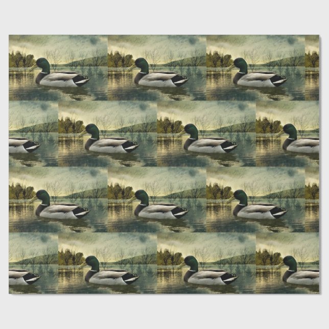 Vintage Mallard Duck Weathered Postcard  Wrapping Paper (Flat)