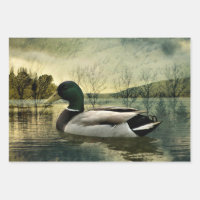 Vintage Mallard Duck Weathered Postcard