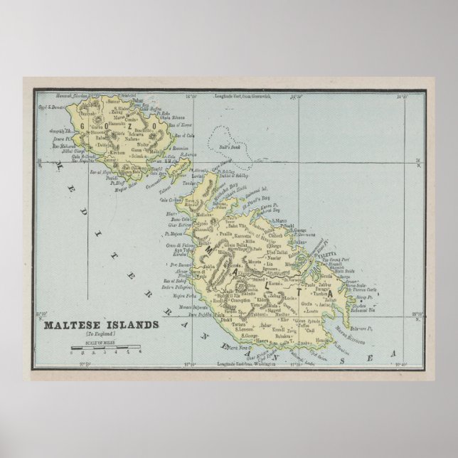 Vintage Malta Map (1901) Poster (Front)