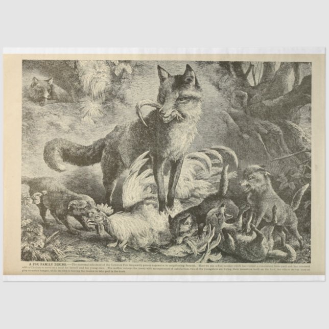 Vintage Mama Fox Ephemera Decoupage Tissue Paper (Front)