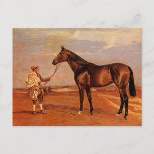 Vintage Man With Brown Race Horse Postcard